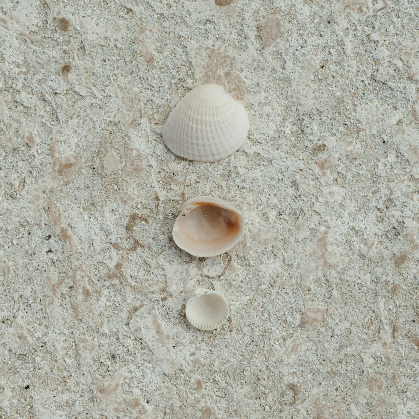 Natural jewelry and stones